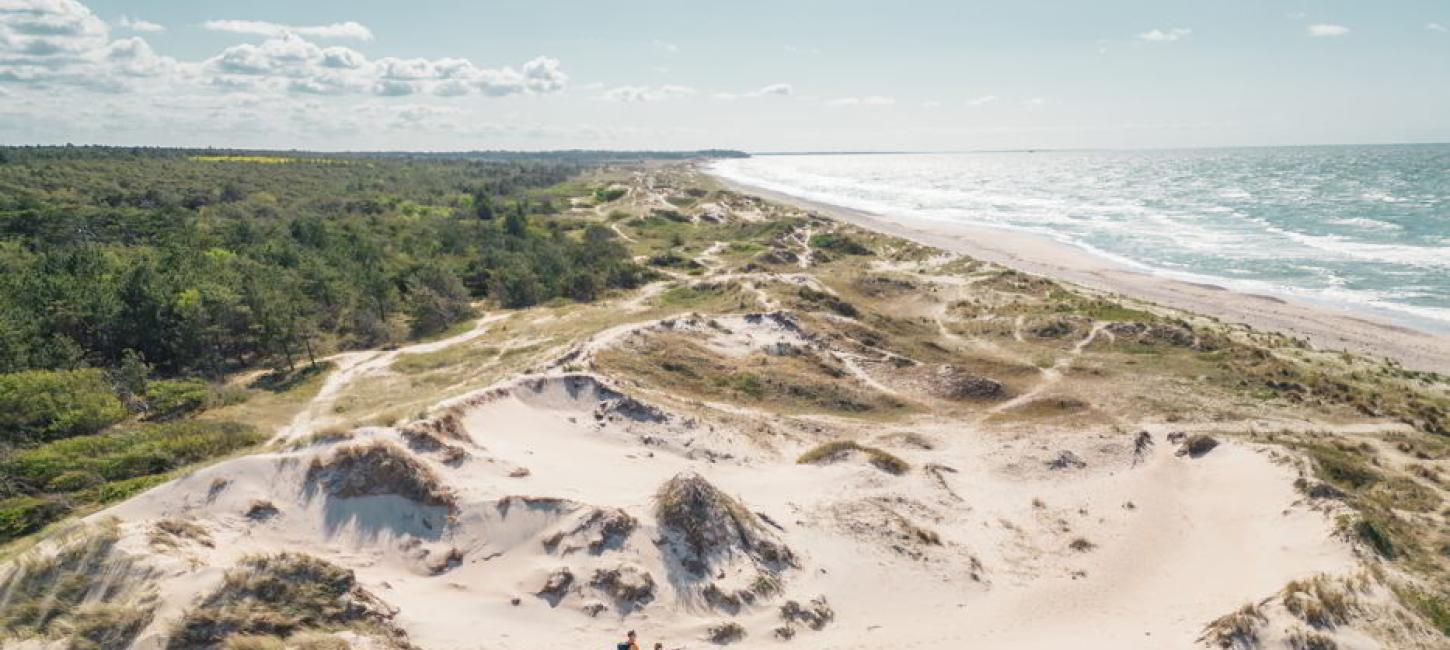 Melby Overdrev is a heath and natural area between Liseleje and Tisvildeleje.