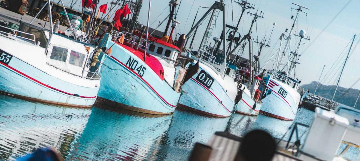 Fiskekutterne ligger på rad og række i Gilleleje havn