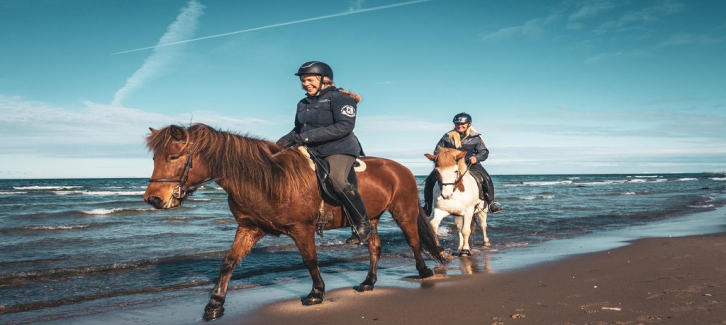 2 heste med ryttere på stranden