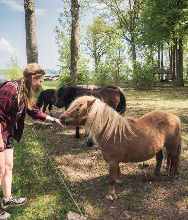 Tisvildevejen fra Hillerød til Melby Overdrev