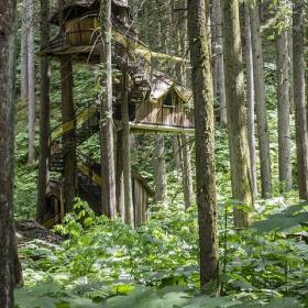 Treetop Houses