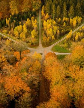 Par Force Hunting Landscape. The Par Force Star in St. Dyrhave