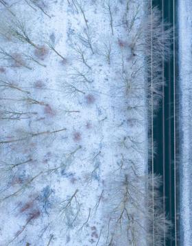 Winter in North Zealand